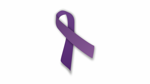 Domestic Violence ribbon