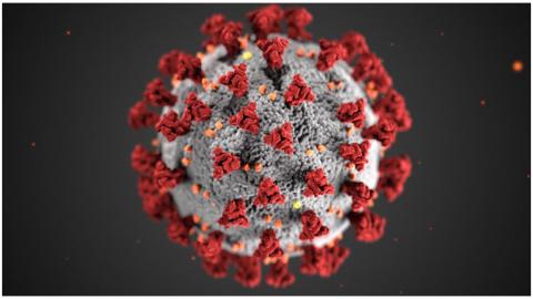 Coronavirus (COVID-19)