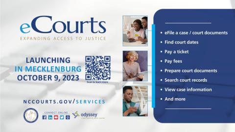 eCourts expanding access to justice logo